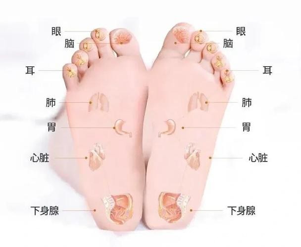 冬季简单又有效的养生方法，很多人居然做错了